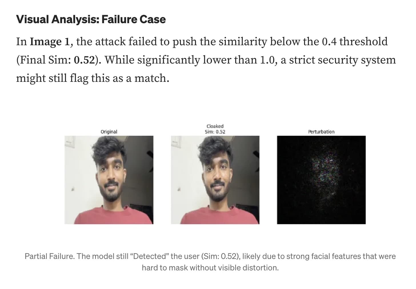 Face Cloaking preview